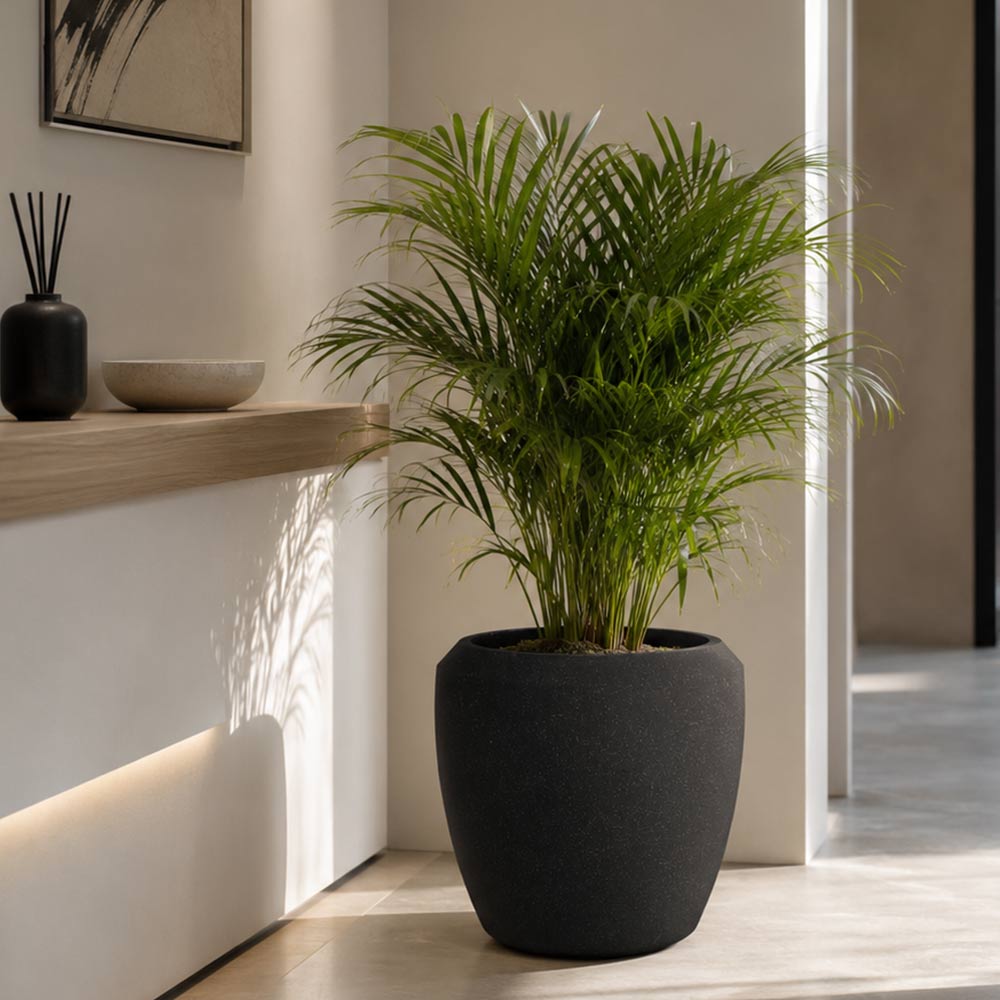 Vaso in plastica hdpe poliresina alta densit� per piante conchino nero h 30,5.