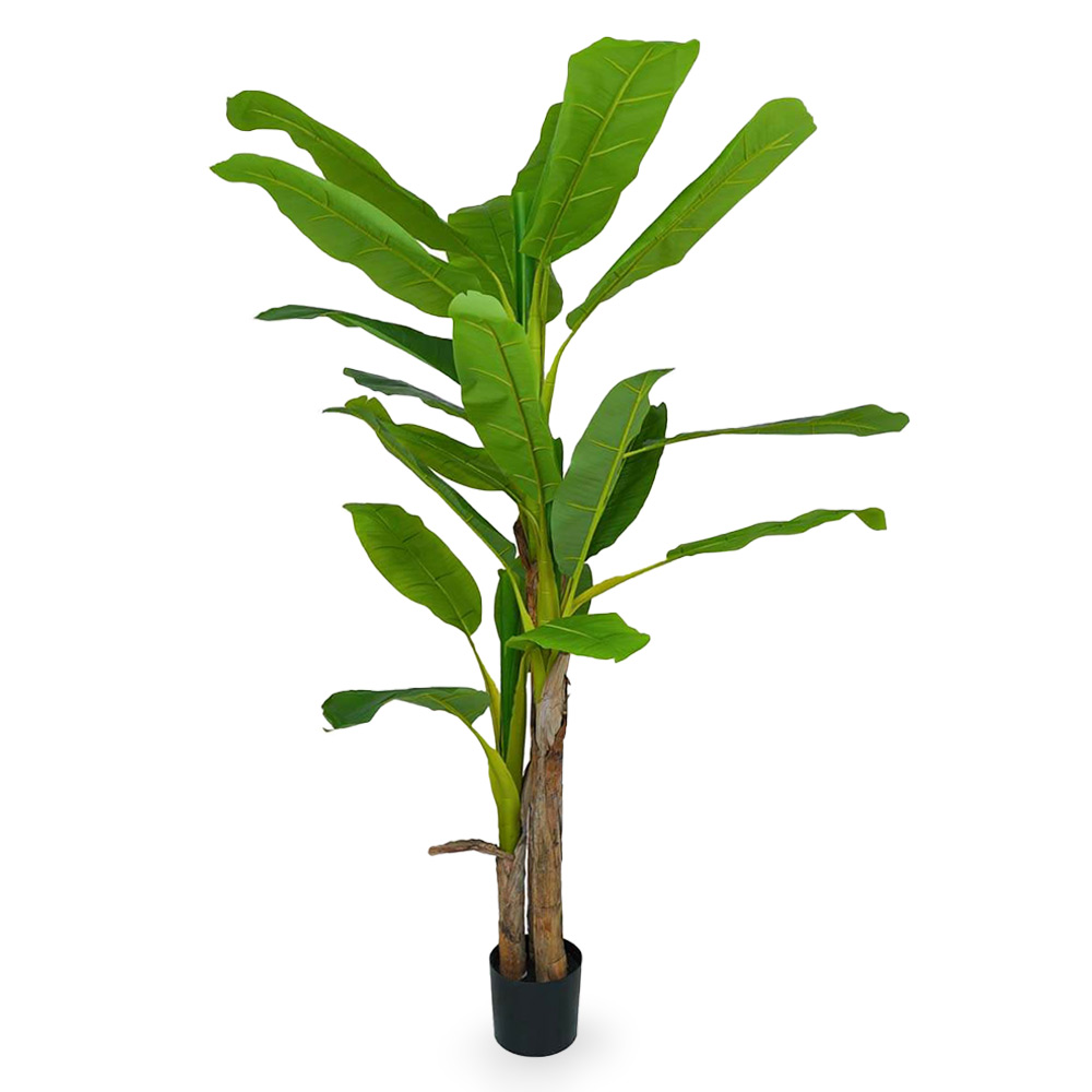 Banano artificiale con vaso pianta tropicale finta realistica h 210 cm.