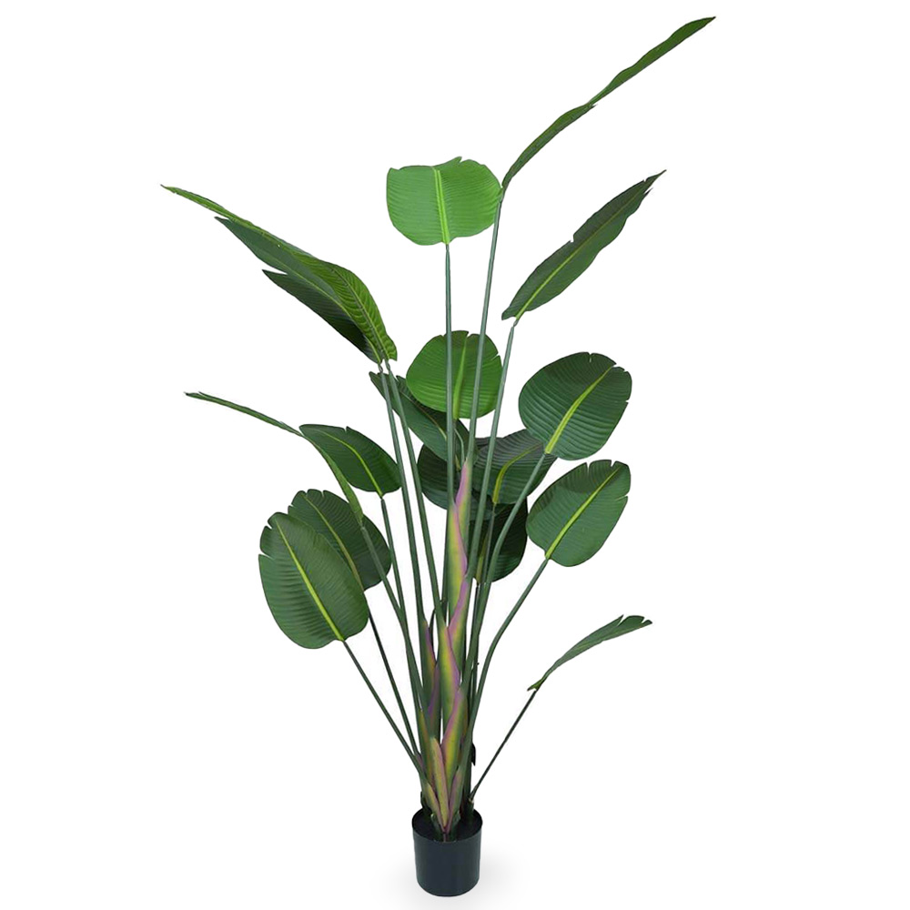 Strelitzia artificiale con vaso pianta finta realistica decorativa h 180 cm.